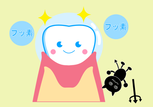 フッ素で守られている歯